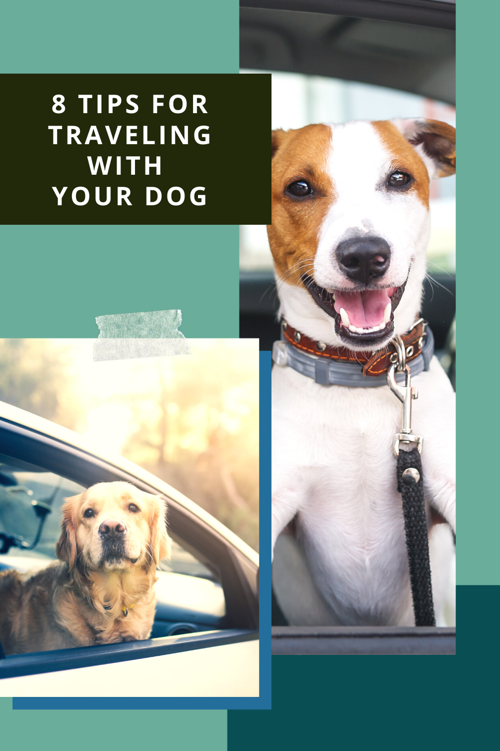 8 Tips For Traveling With Your Dog A Friend Abroad