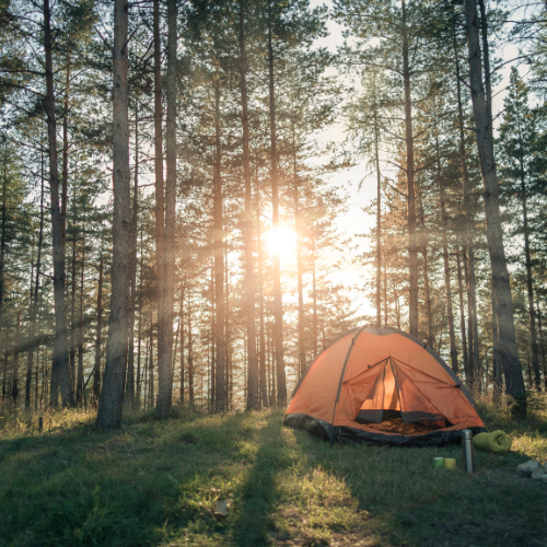 7 Top Camping Safety Tips